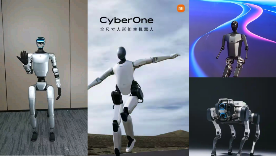 機(jī)器人 機(jī)器人